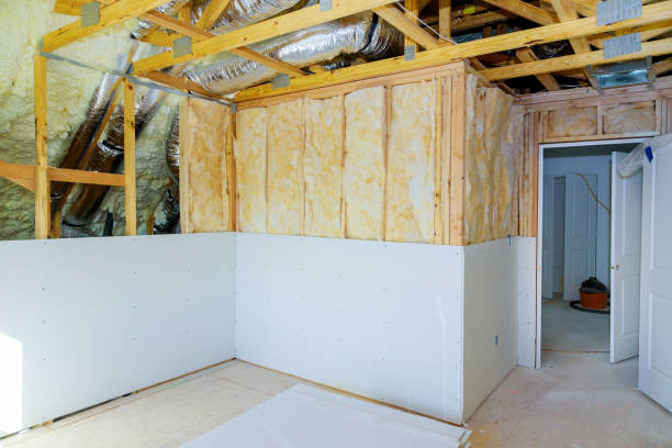 Best Home Insulation Services  in USA